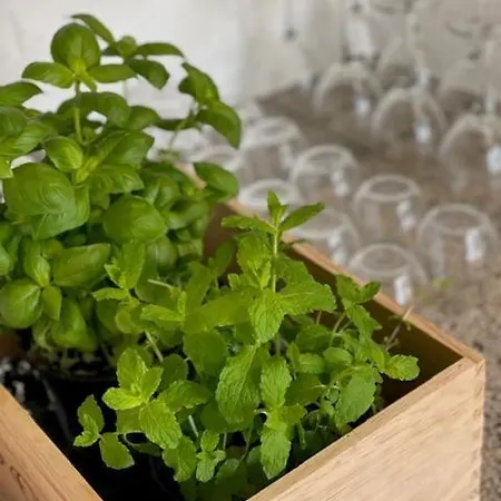 Hostel Faaborg Vandrehjem Fåborg