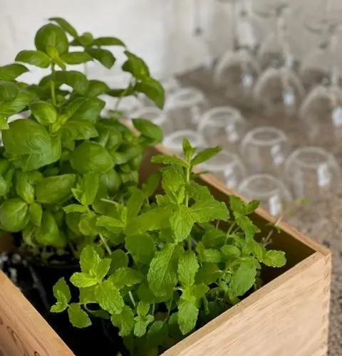 Auberge de jeunesse Faaborg Vandrehjem Fåborg